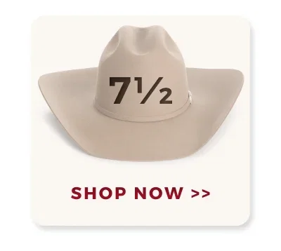 SHOP NOW >>