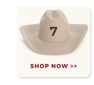 SHOP NOW >>