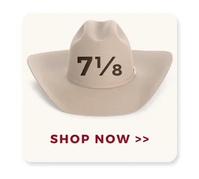 SHOP NOW >>