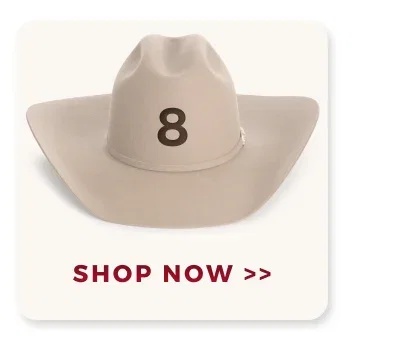 SHOP NOW >>