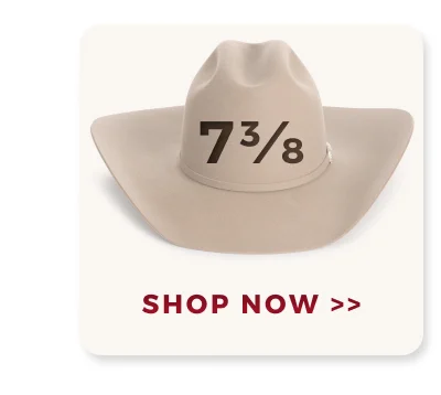 SHOP NOW >>
