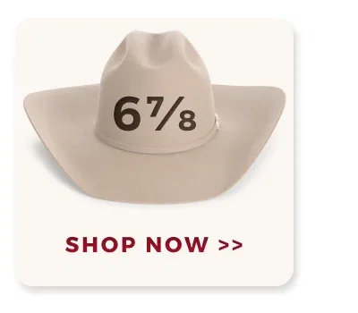 SHOP NOW >>