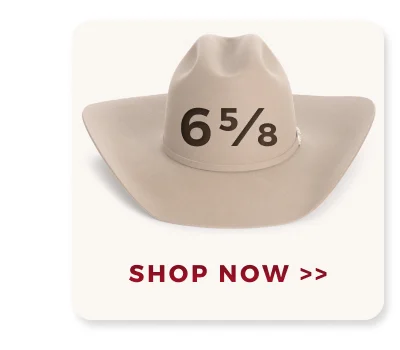 SHOP NOW >>