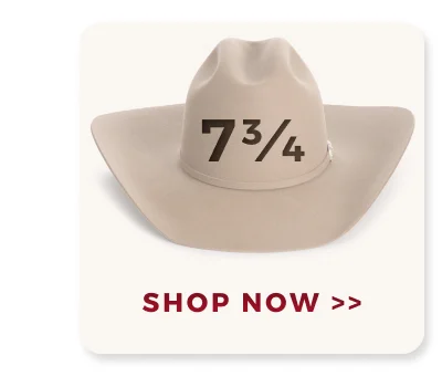 SHOP NOW >>