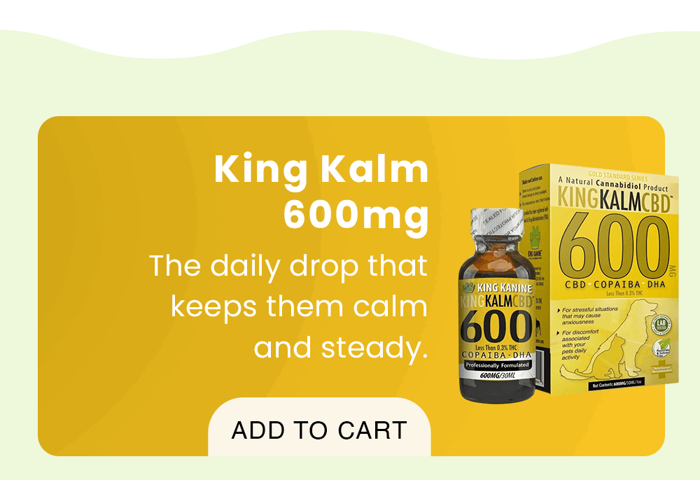King Kalm 600mg: The daily drop that keeps them calm and steady.