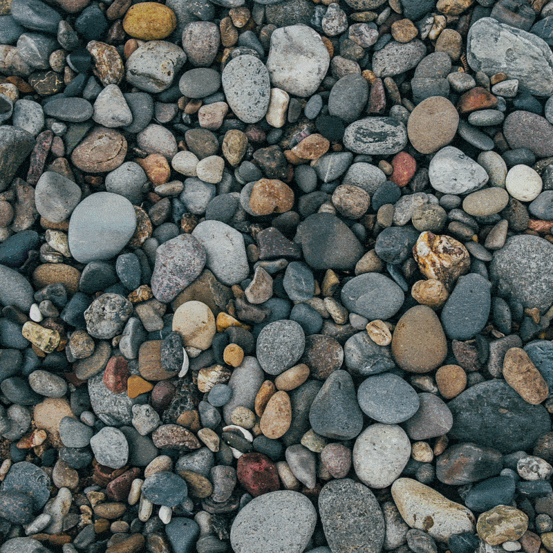 Collect Rocks Day