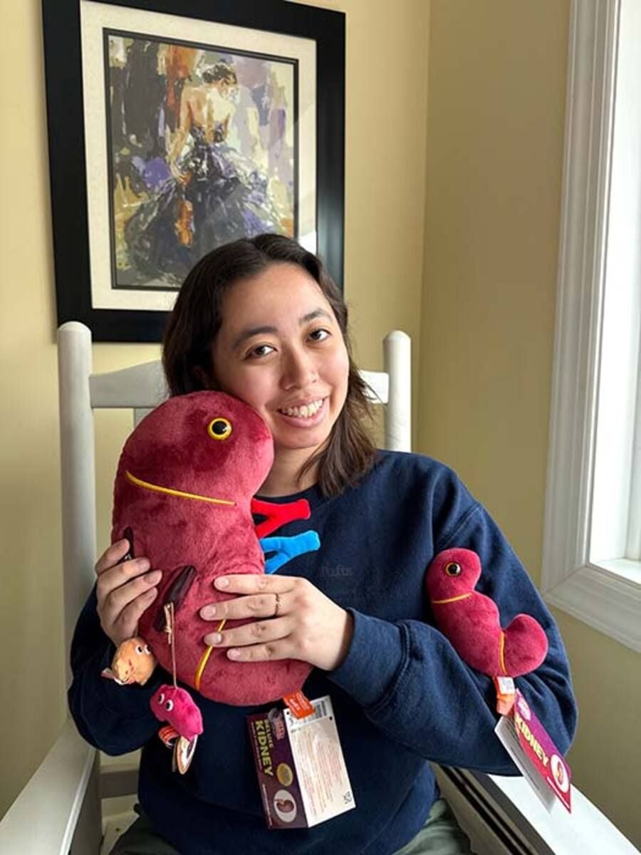 Hugging Deluxe Kidney plush