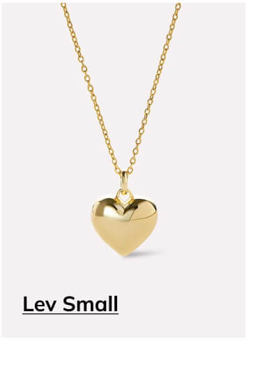 Lev Small