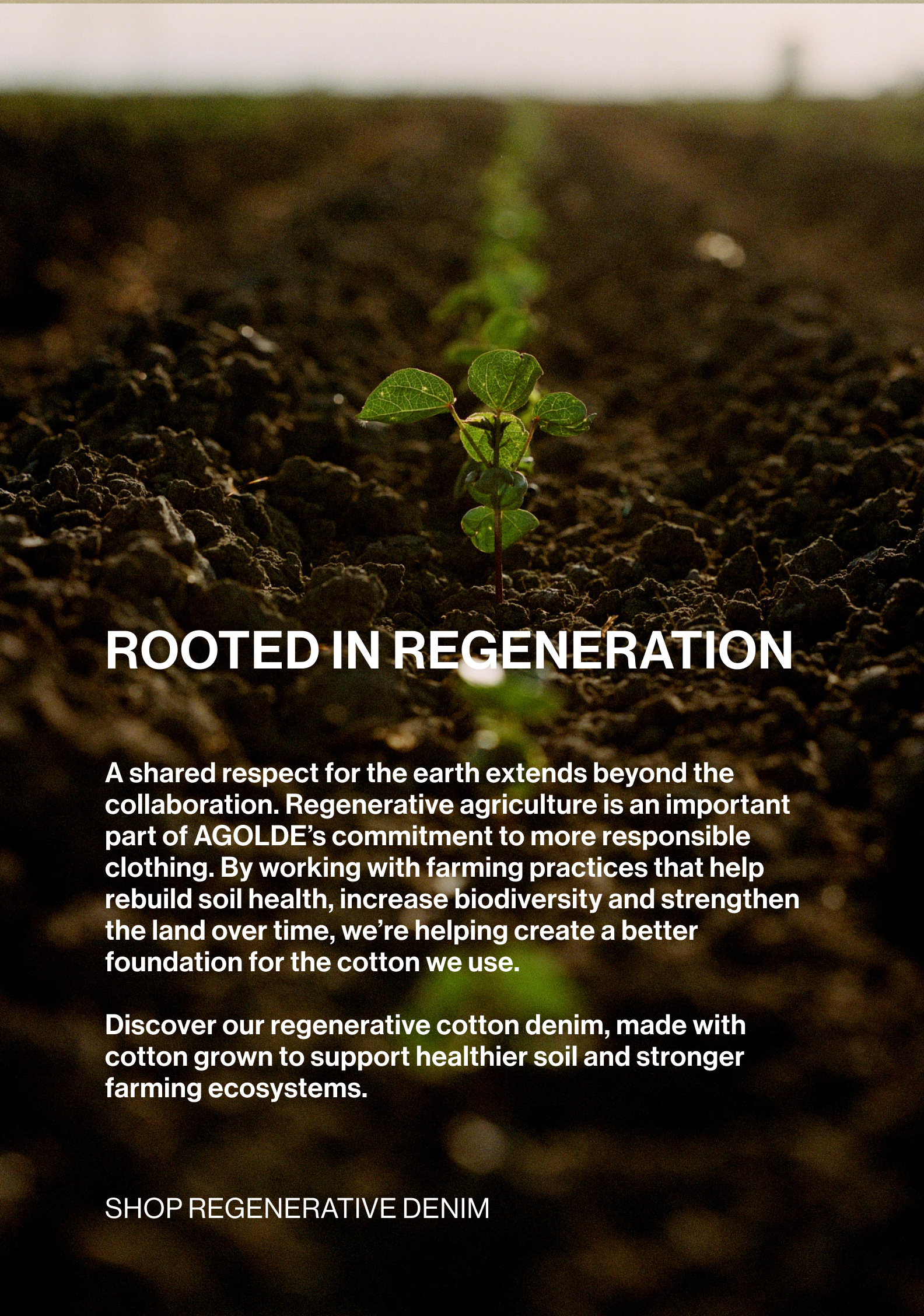 Shop Regenerative Denim