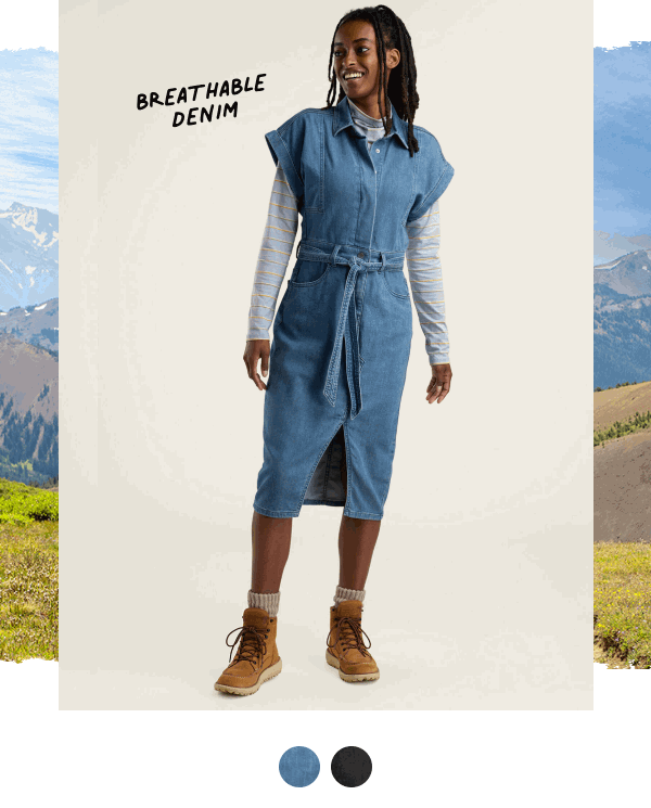 Shop the Franny Denim Dress