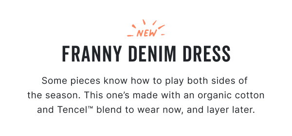 Shop the Franny Denim Dress