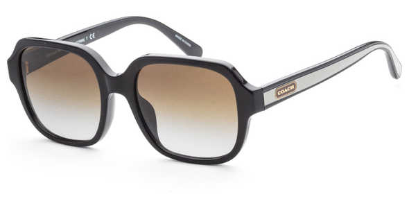 Coach Fashion Women's Sunglasses HC8335U-50027Z-53