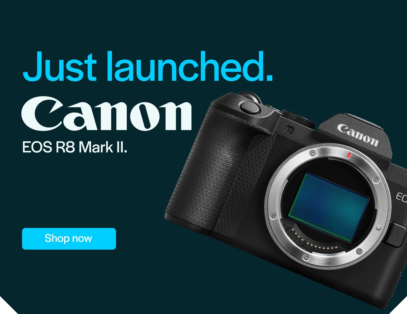 Just Launched - Canon EOS R8 Mark II