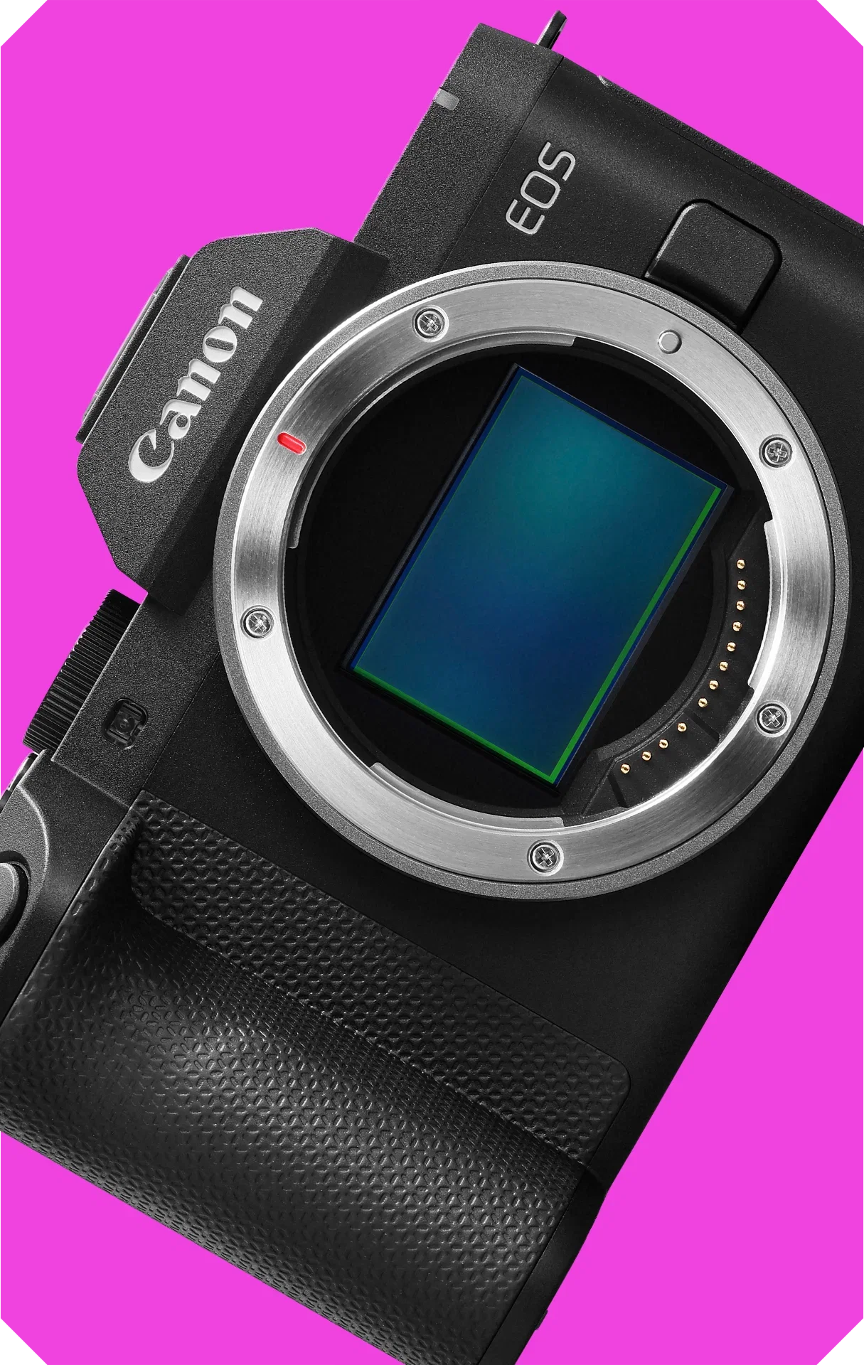 Canon R8 Mark II - The BEST entry-level full-frame camera?