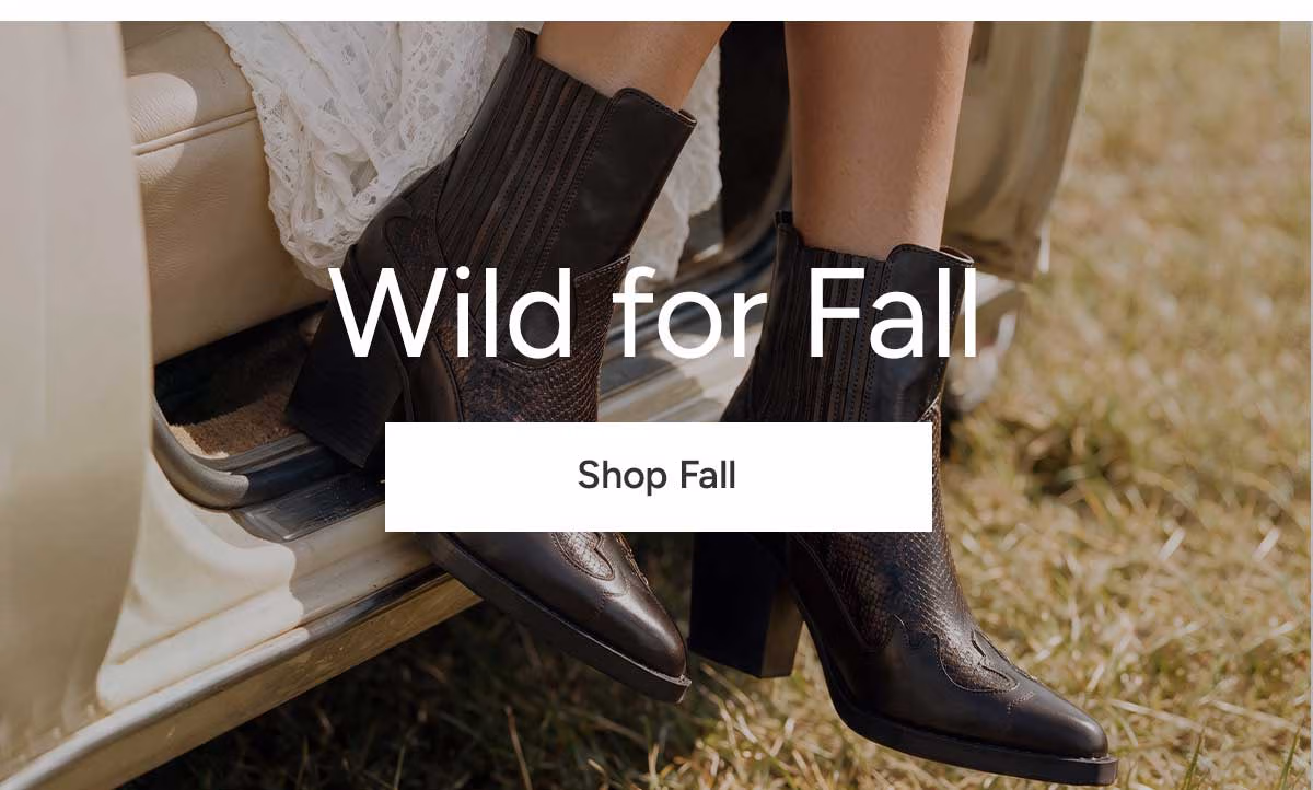 Wild for Fall - Shop Fall