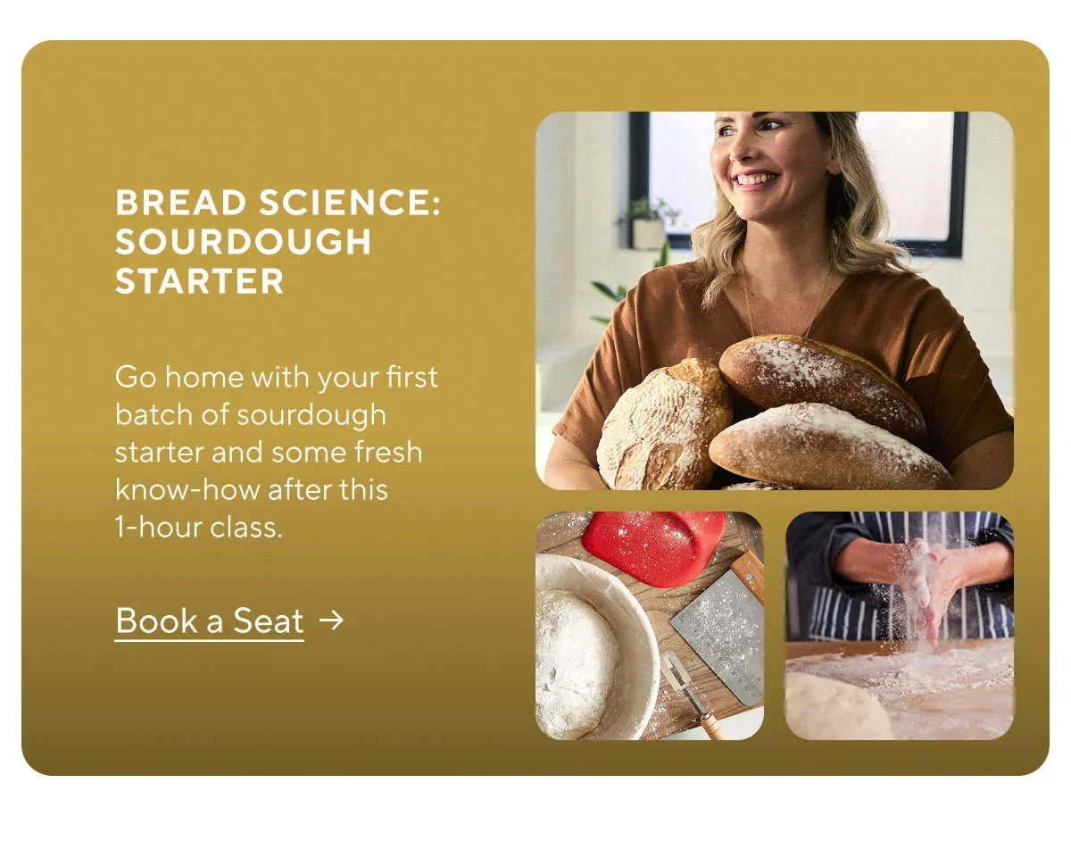 Bread Science: Sourdough Starter in Albany