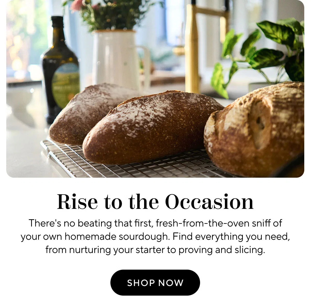 Bread Making Kits