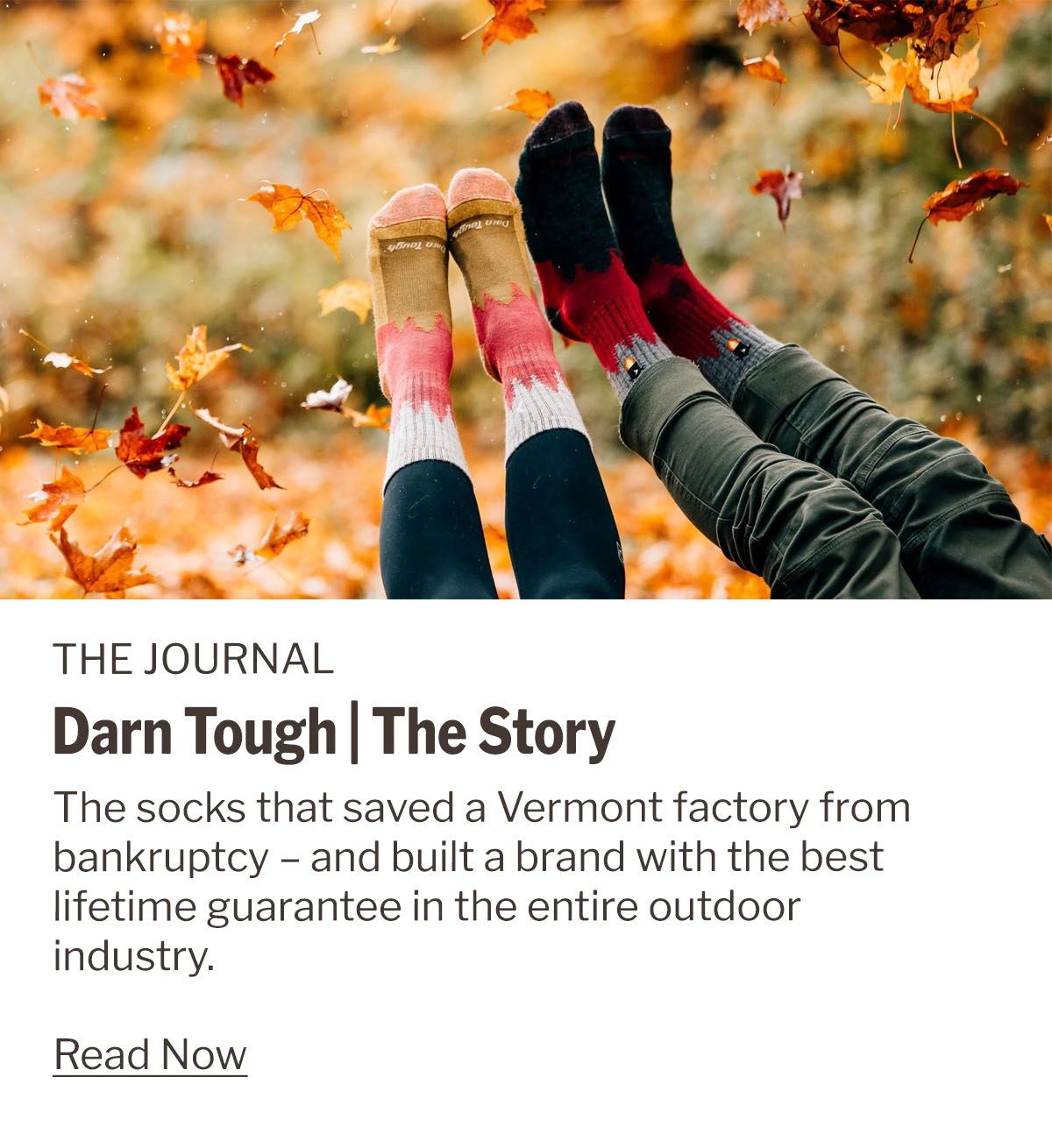 Darn Tough | The Story | The WildBounds Journal