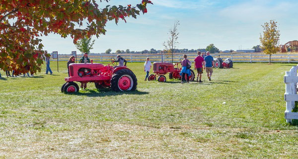 Corn Mazes & Farm Activities at Keller's Farmstand