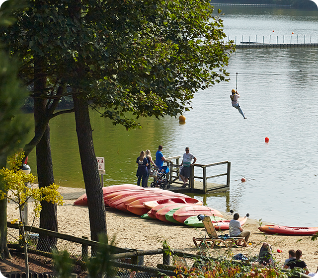 Elveden Forest