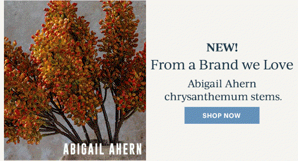 NEW!  From a Brand we Love  Abigail Ahern chrysanthemum stems.  [SHOP NOW]