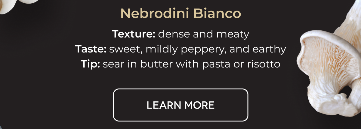 Nebrodini Bianco Texture: dense and meaty Taste: sweet, mildly peppery, and earthy Tip: sear in butter with pasta or risotto [LEARN MORE]