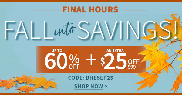 FALL INTO SAVINGS