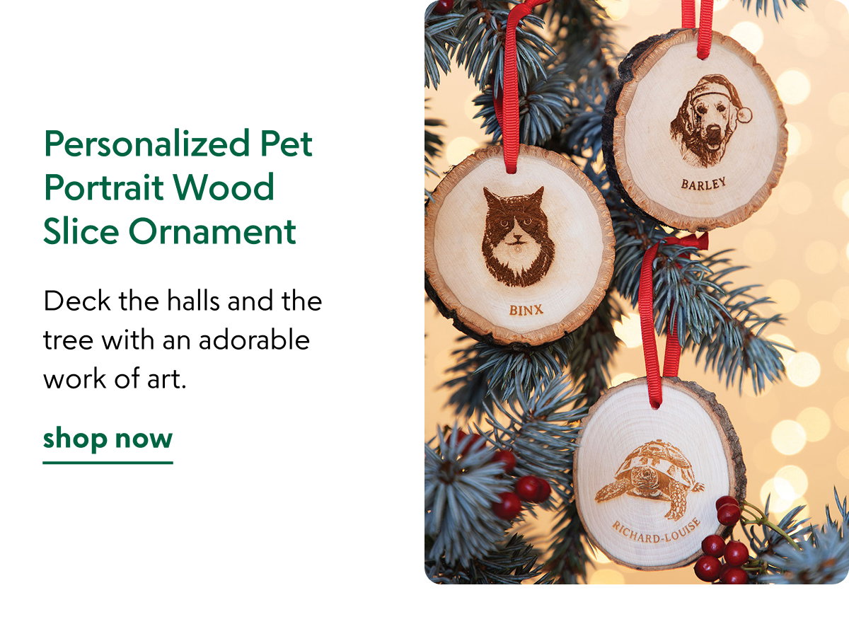 personalized-pet-portrait-wood-slice-ornament
