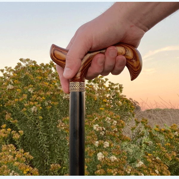 man holding wood cane