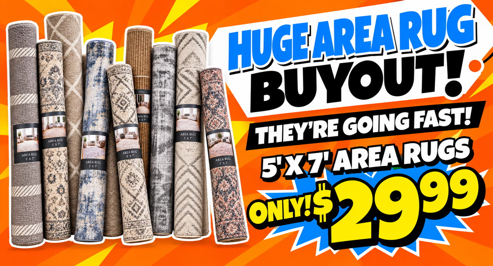 5' x 7' area rugs for $29.99
