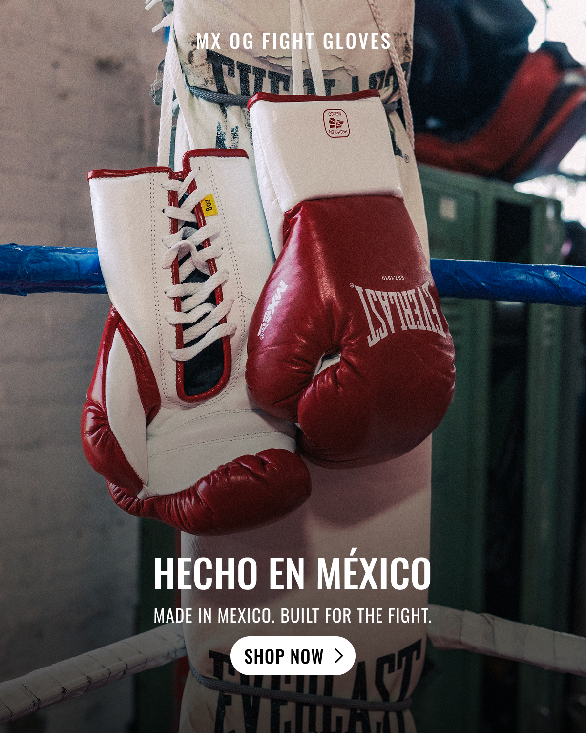 Hecho En Mexico | Shop Now