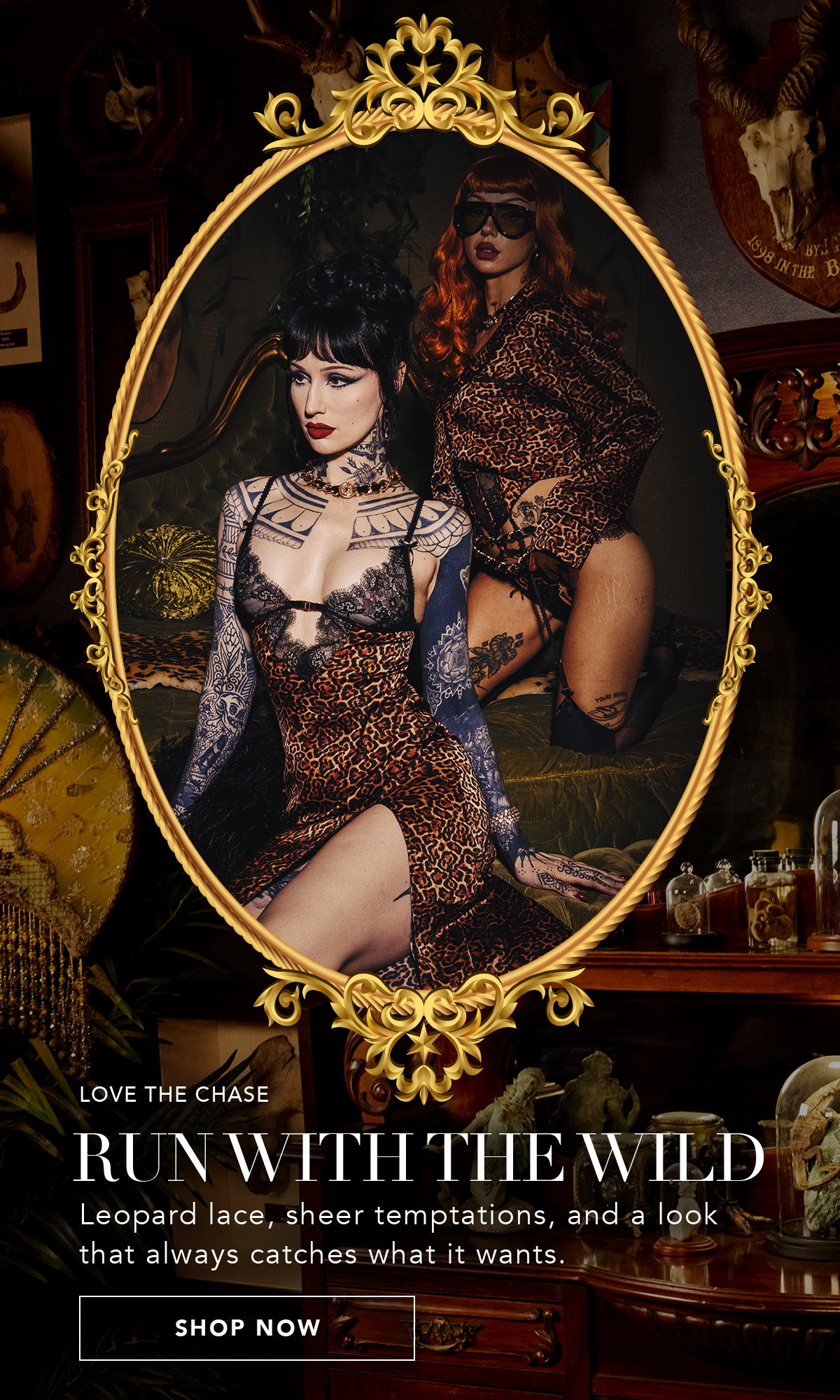 RUN WITH THE WILD | Leopard lace, sheer temptations, and look that always catches what it wants. [SHOP NOW]