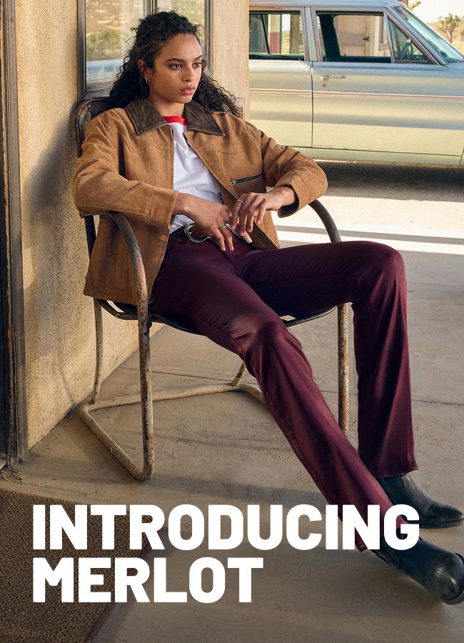Introducing Merlot