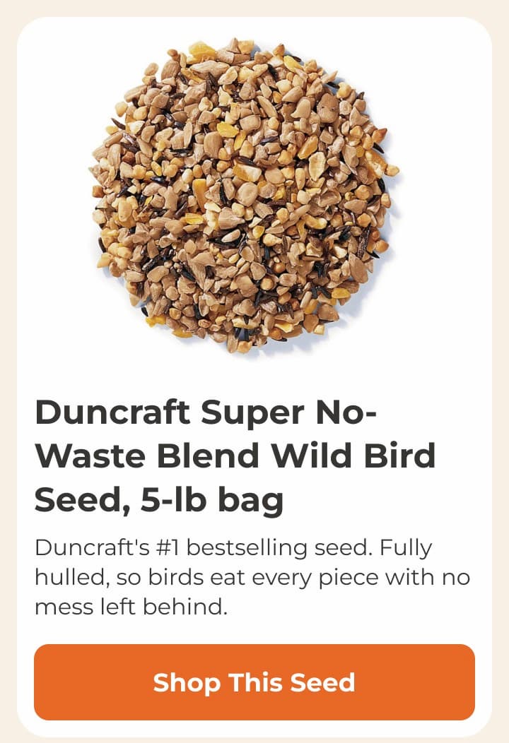 Duncraft Super No-Waste Blend Wild Bird Seed, 5-lb bag