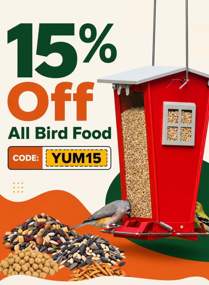 15% Off All Bird Food