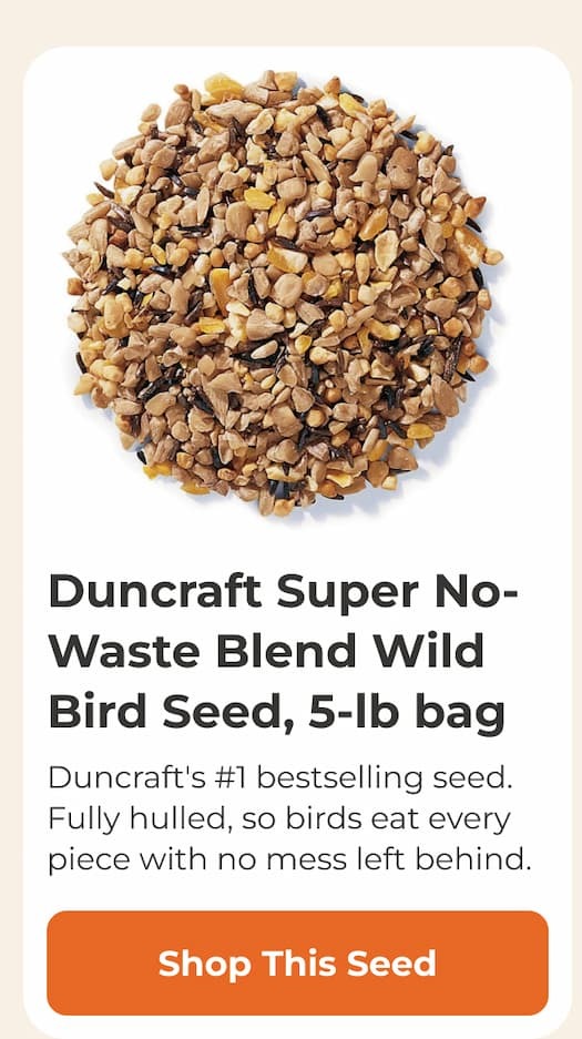 Duncraft Super No-Waste Blend Wild Bird Seed, 5-lb bag