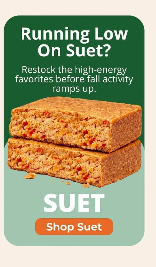 Restock the high-energy favorites before fall activity ramps up.