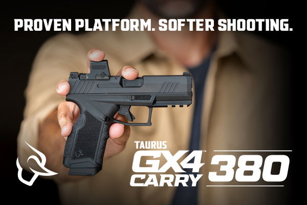 Taurus GX4 Carry 380 on GunBroker.com
