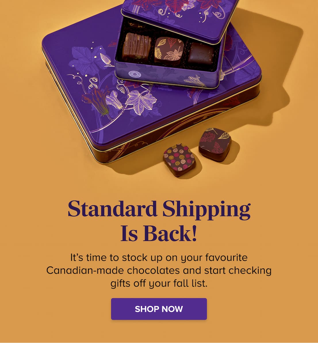 Standard Shipping is Back! SHOP NOW
