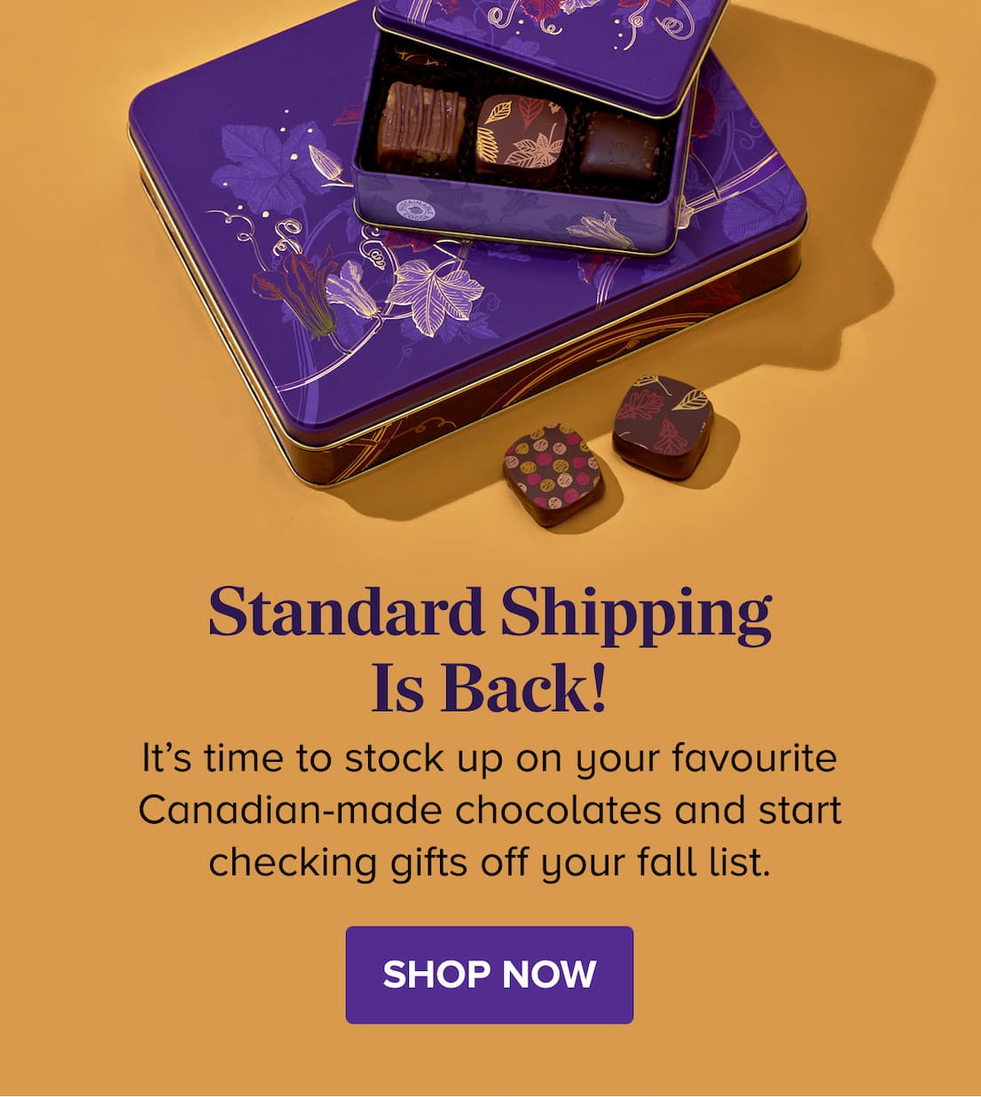 Standard Shipping is Back! SHOP NOW