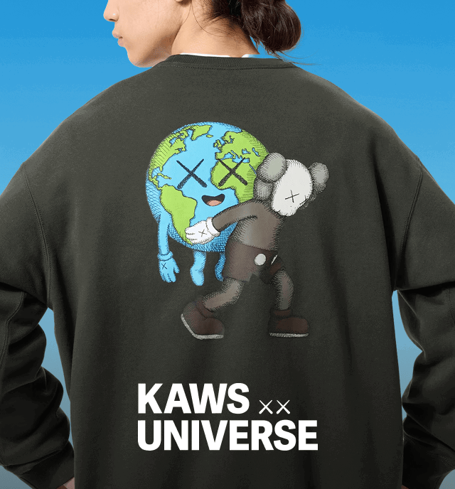 hero0kaws0and0universe