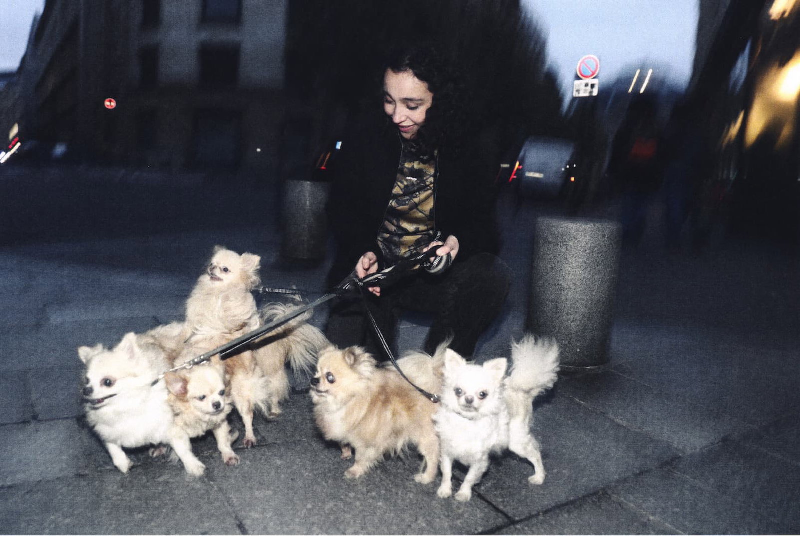 Woman Model posing in the streets walking some dogs wearing Obey D2 collection