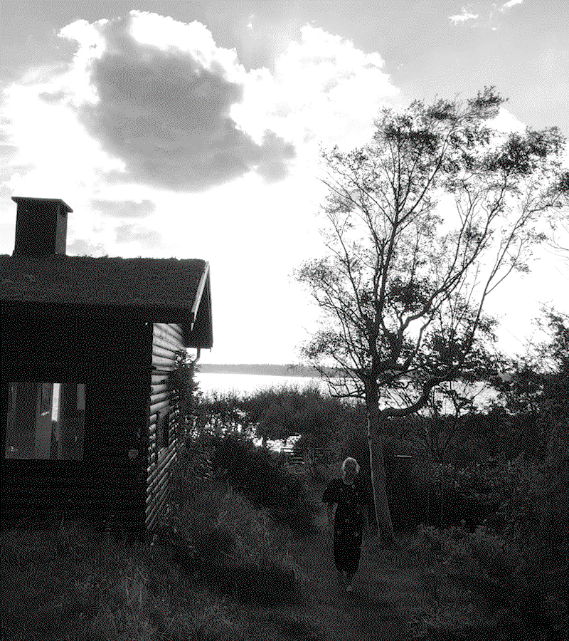 Journal: Petra Kleis