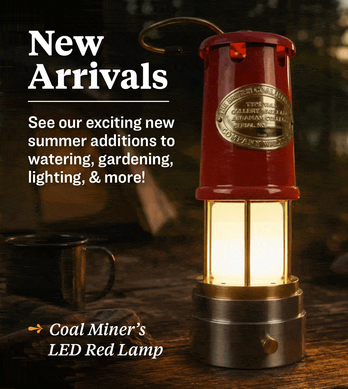 new arrivals