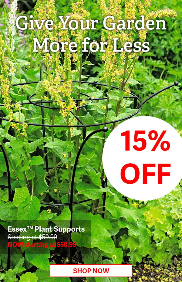 Give Your Garden More For Less - 15% OFF - Essex Plant Supports - SHOP NOW