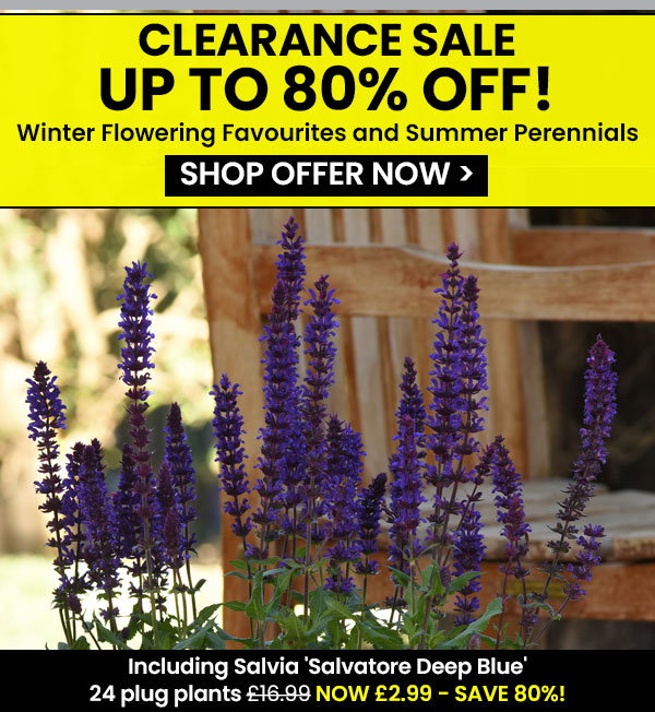 Clearance Sale