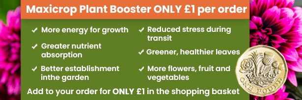 Maxicrop Plant Booster