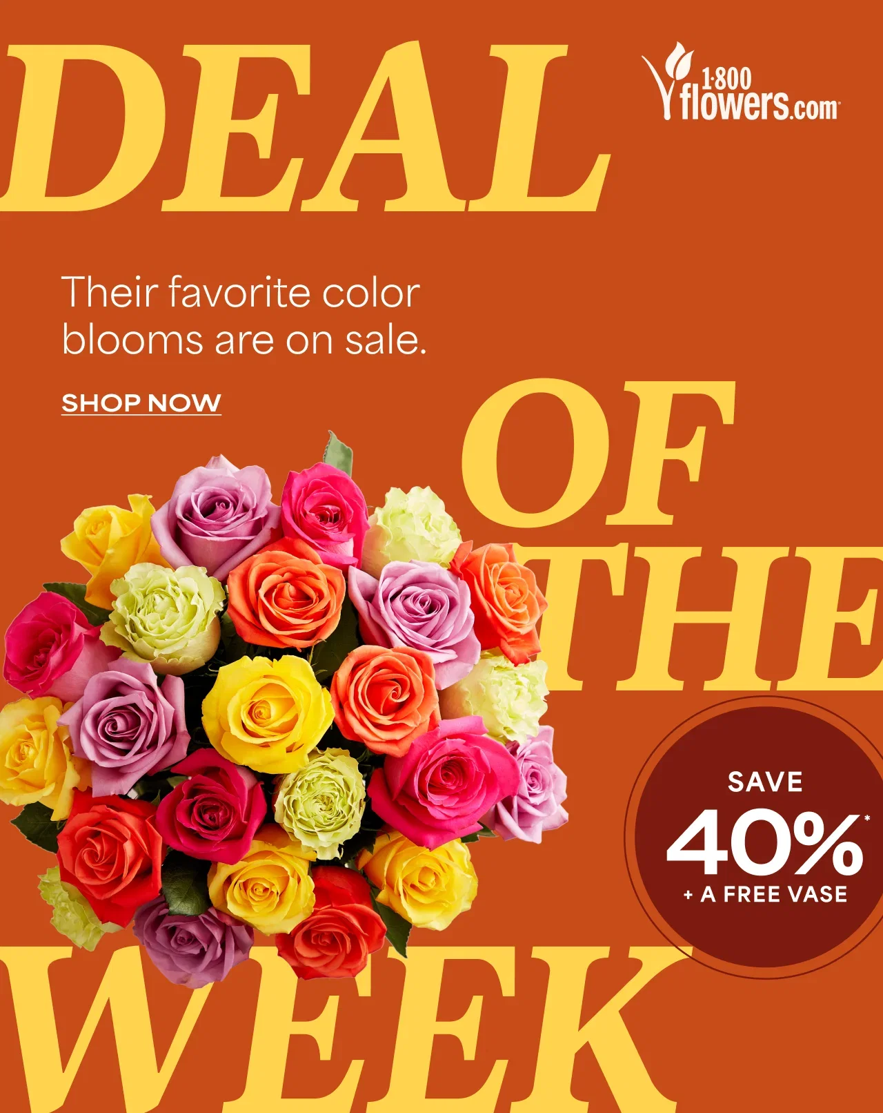 Deal of the Week | Their favorite color blooms are on sale. | Save 40% + A Free Vase