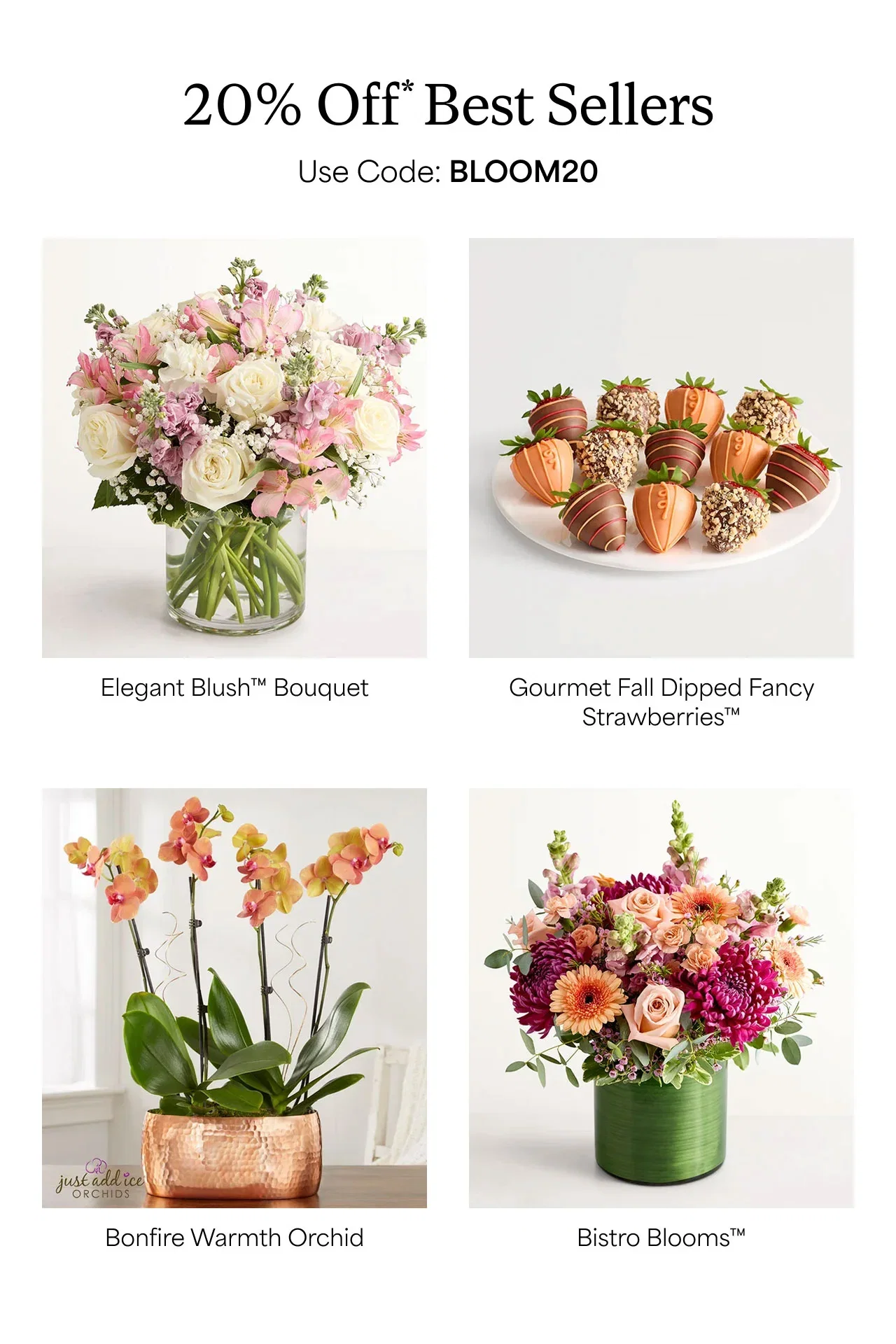 20% off* Best Sellers | Elegant Blush Bouquet | Gourmet Fall Dipped Fancy Strawberries | Bonfire Warmth Orchid | Bistro Blooms