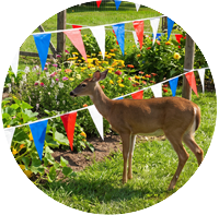 Pennants are more useful than you know